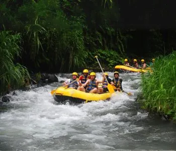 paket tour bali 1 hari rafting sungai ayun